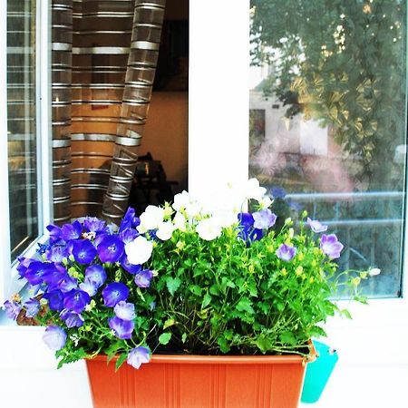 Apartment 5 Min By Walk To The Center 브르노 외부 사진