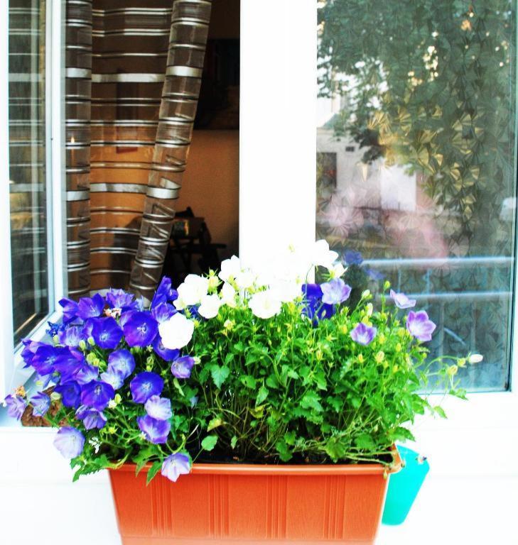 Apartment 5 Min By Walk To The Center 브르노 외부 사진
